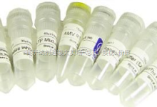 CAS:88050-17-3,Fmoc-L-羥脯氨酸,N-芴甲氧羰基-L-羥脯氨酸,Fmoc-Hyp_上海陽光試劑 _阿儀網(wǎng)