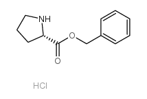 L-脯氨酸芐酯鹽酸鹽生產(chǎn)廠家_L-脯氨酸芐酯鹽酸鹽供應商_L-脯氨酸芐酯鹽酸鹽批發(fā)/供應/采購